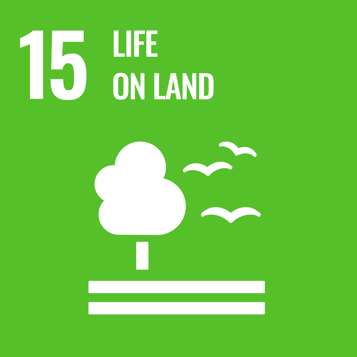 SDGs 15 Life On Land